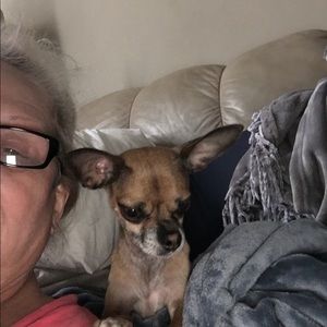 Meet your Posher, Kathy